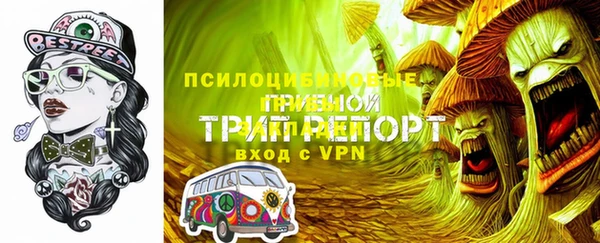 мдпв Бронницы