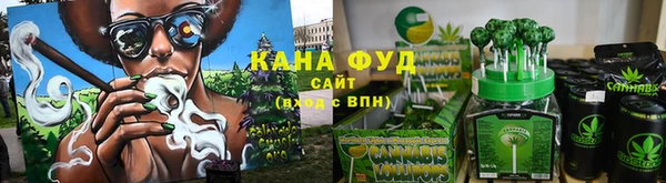 мдпв Бронницы