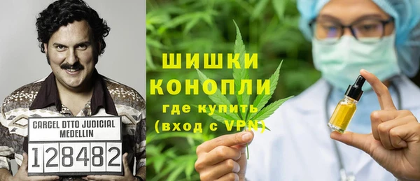 мдпв Бронницы